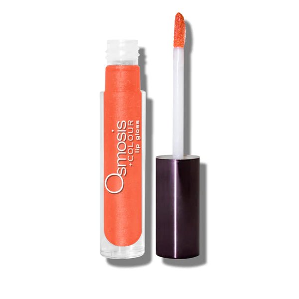 Lip Gloss - ProSkinAdvisor