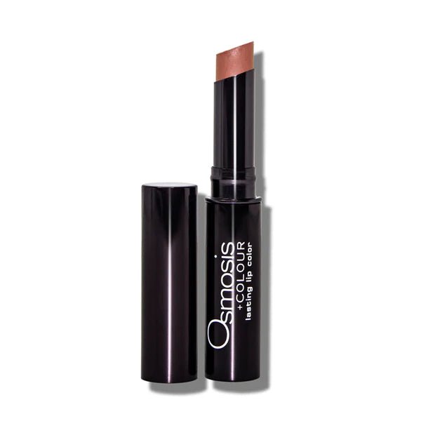 Long Wear Lipstick - ProSkinAdvisor